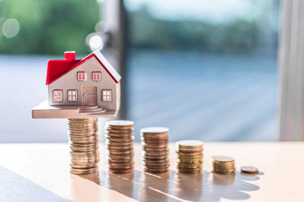 Investment Consultation