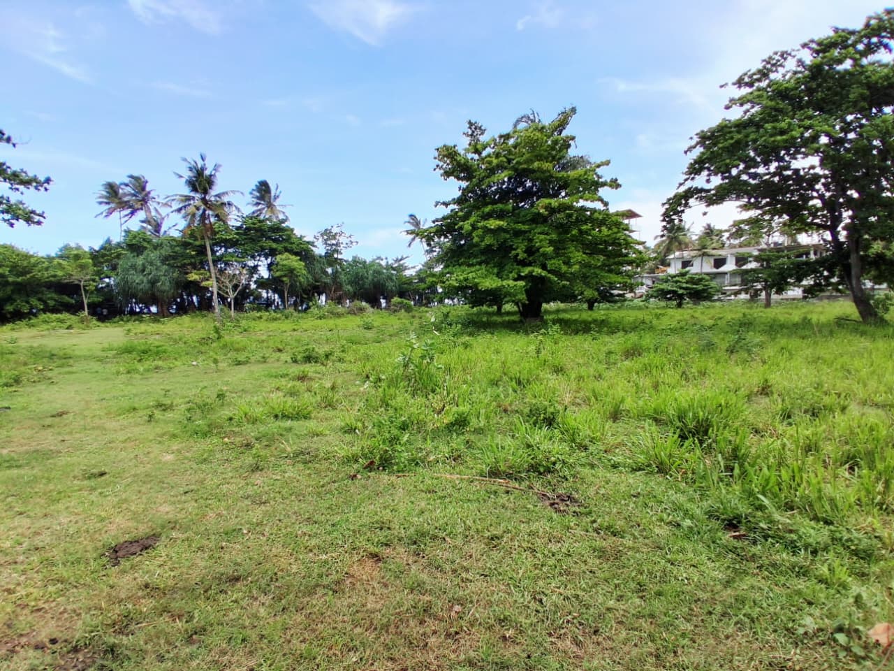 Beachfront Main Road Land for Sale – Dickwella additional images