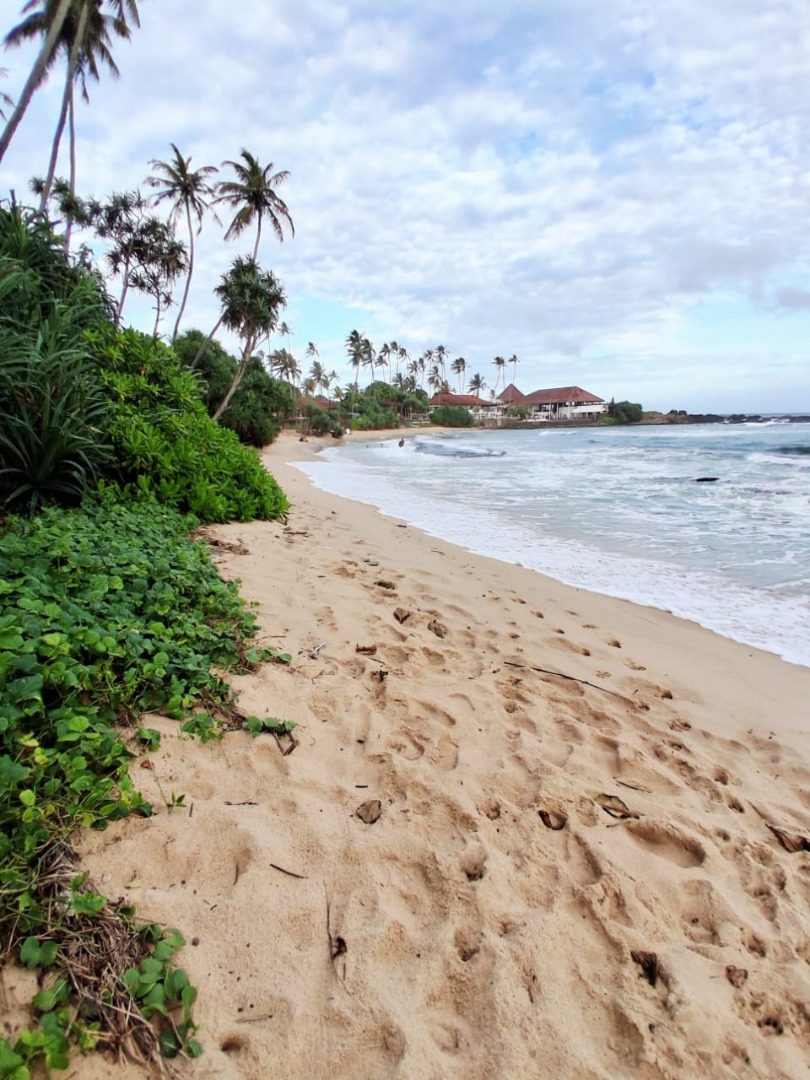 Beachfront Main Road Land for Sale – Dickwella additional images