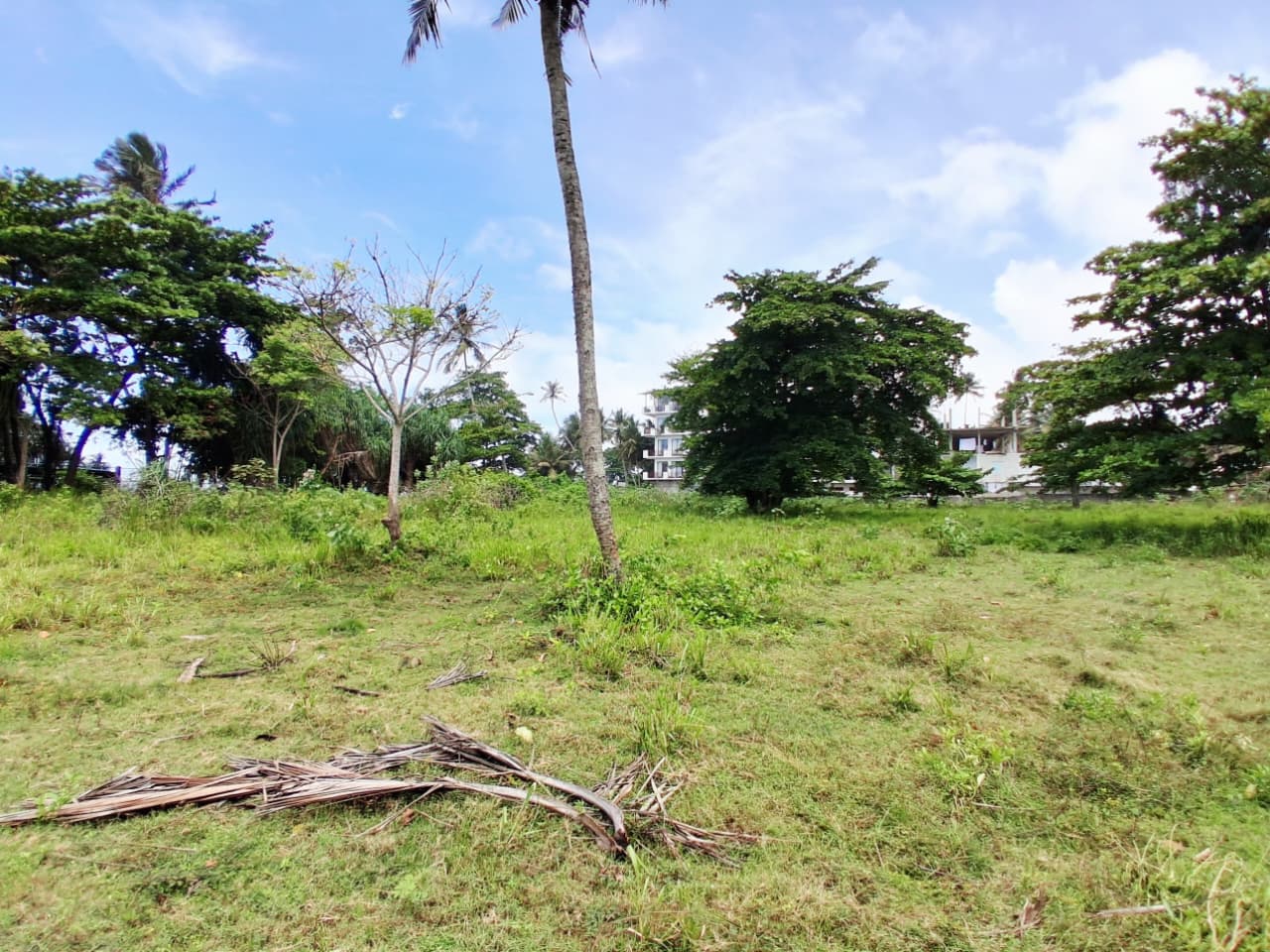 Beachfront Main Road Land for Sale – Dickwella additional images