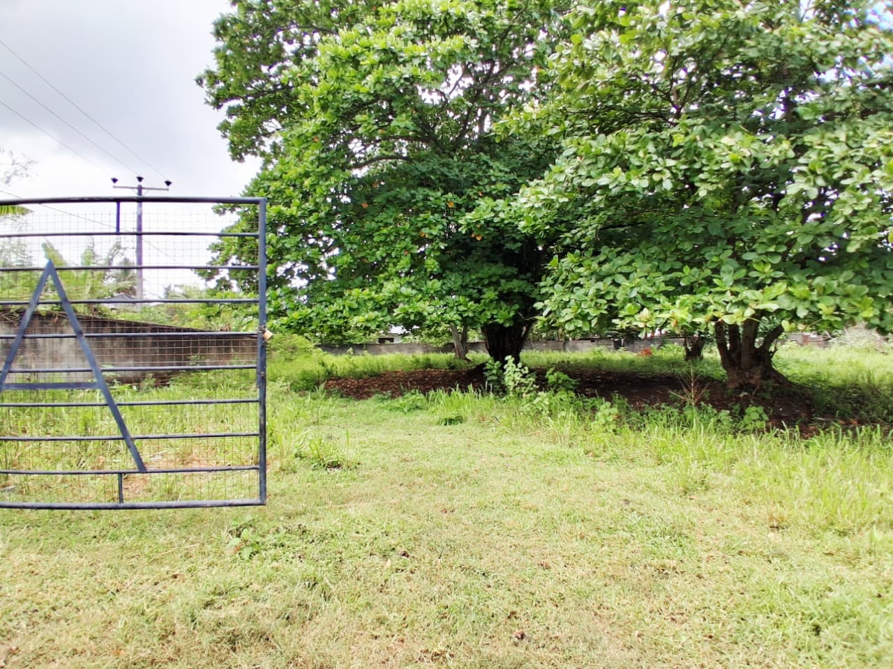 Beachfront Main Road Land for Sale – Dickwella additional images