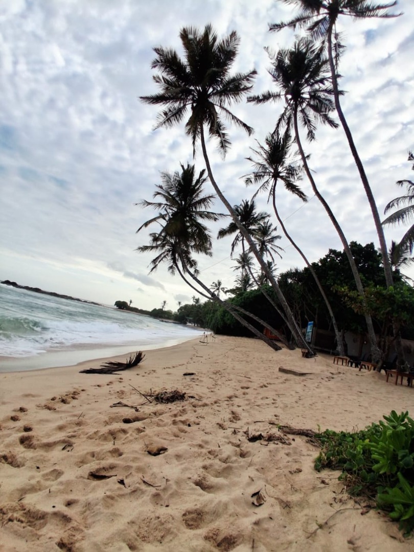 Beachfront Main Road Land for Sale – Dickwella additional images