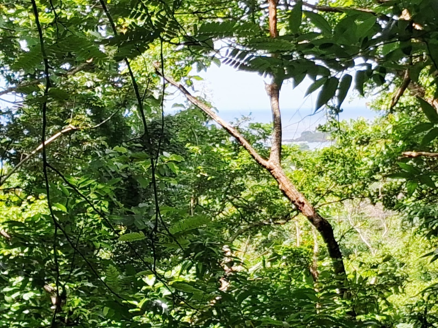 17-Acre Sea View Development Land for Sale in Tangalle additional images