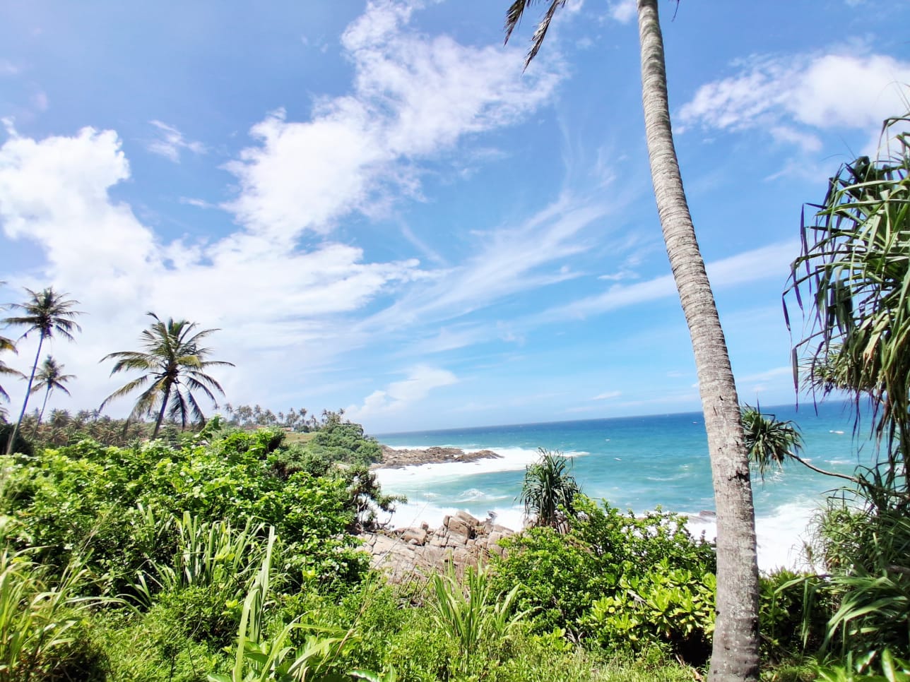 619 Perch Beachfront Land for Sale in Dikwella