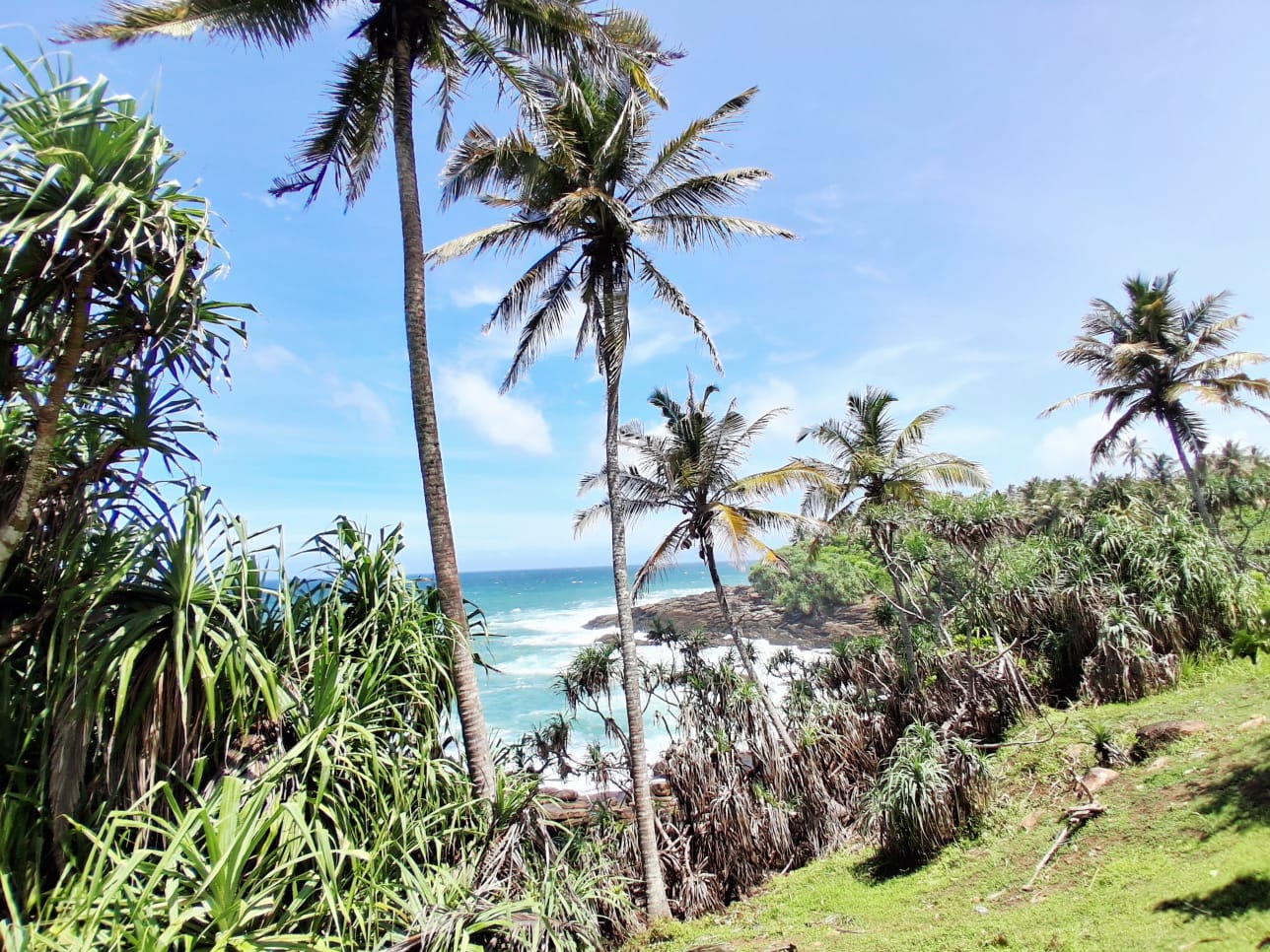 619 Perch Beachfront Land for Sale in Dikwella additional images