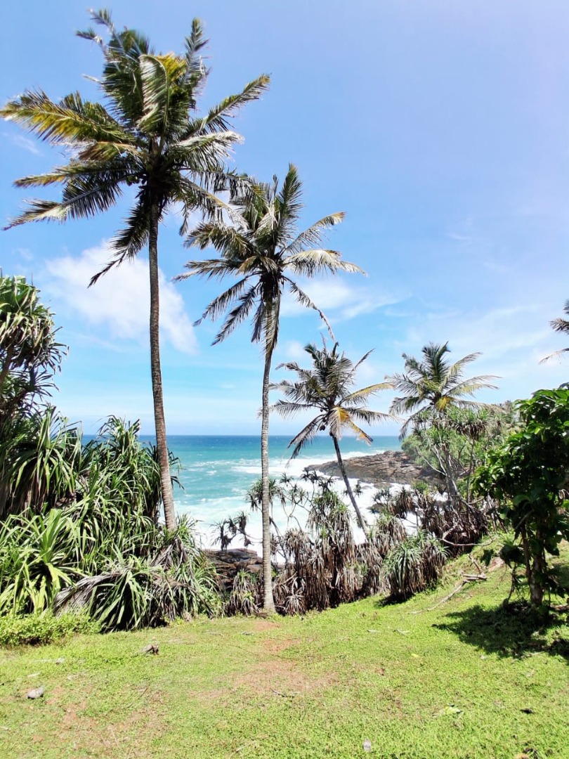 619 Perch Beachfront Land for Sale in Dikwella additional images