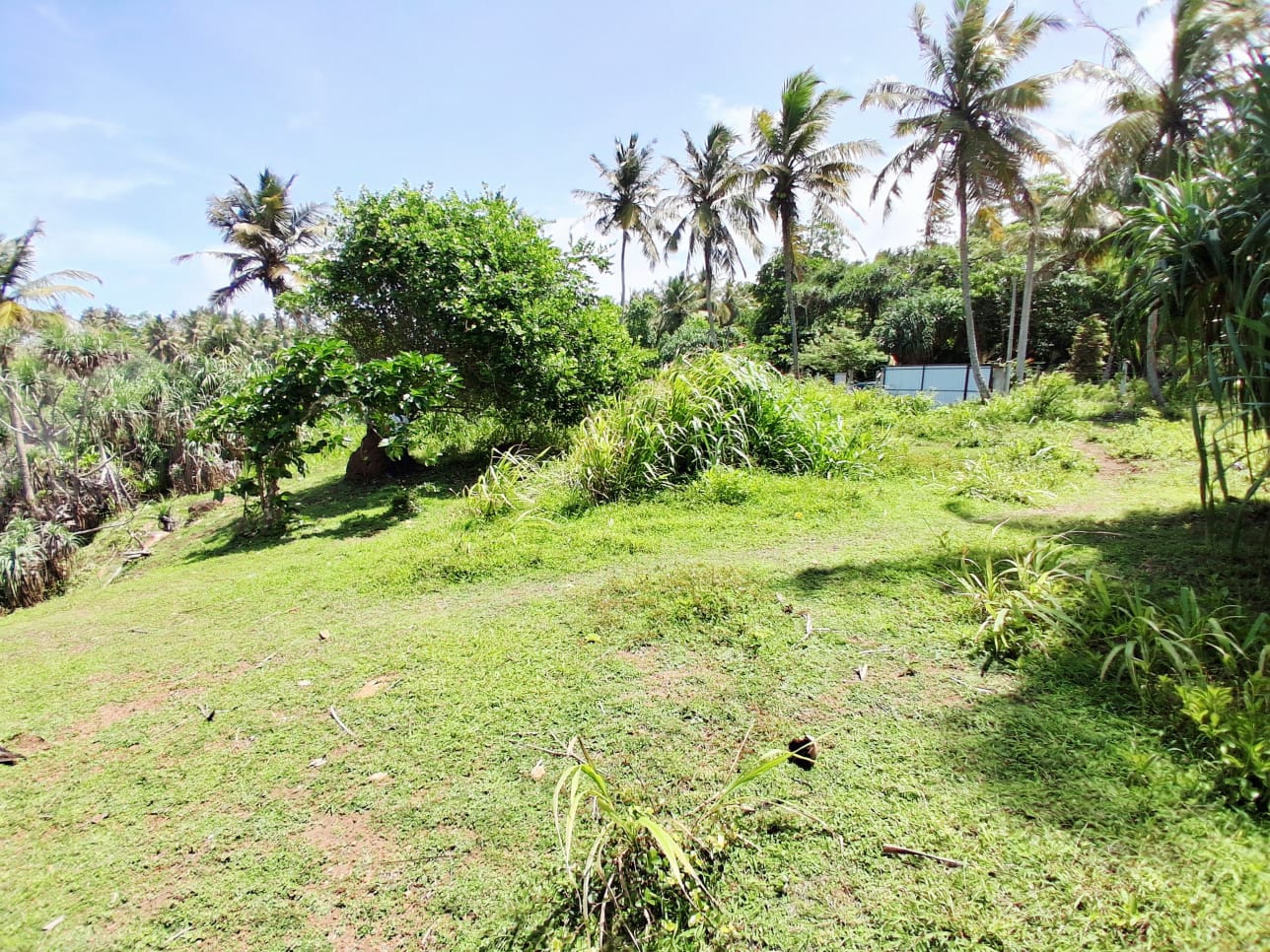619 Perch Beachfront Land for Sale in Dikwella additional images