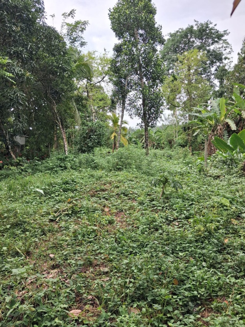 619 Perch Beachfront Land for Sale in Dikwella additional images