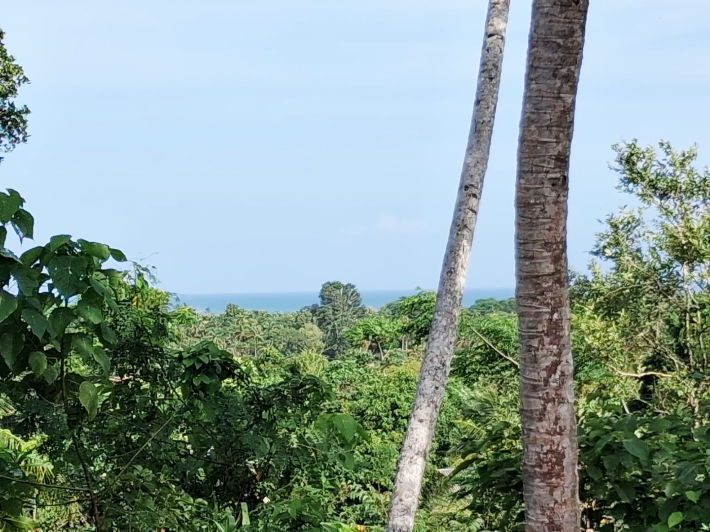 400 Perch Sea View Land For Sale In Talalla additional images