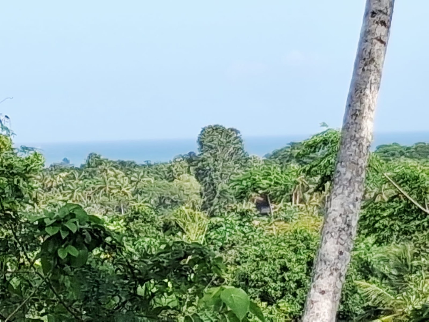 400 Perch Sea View Land For Sale In Talalla additional images