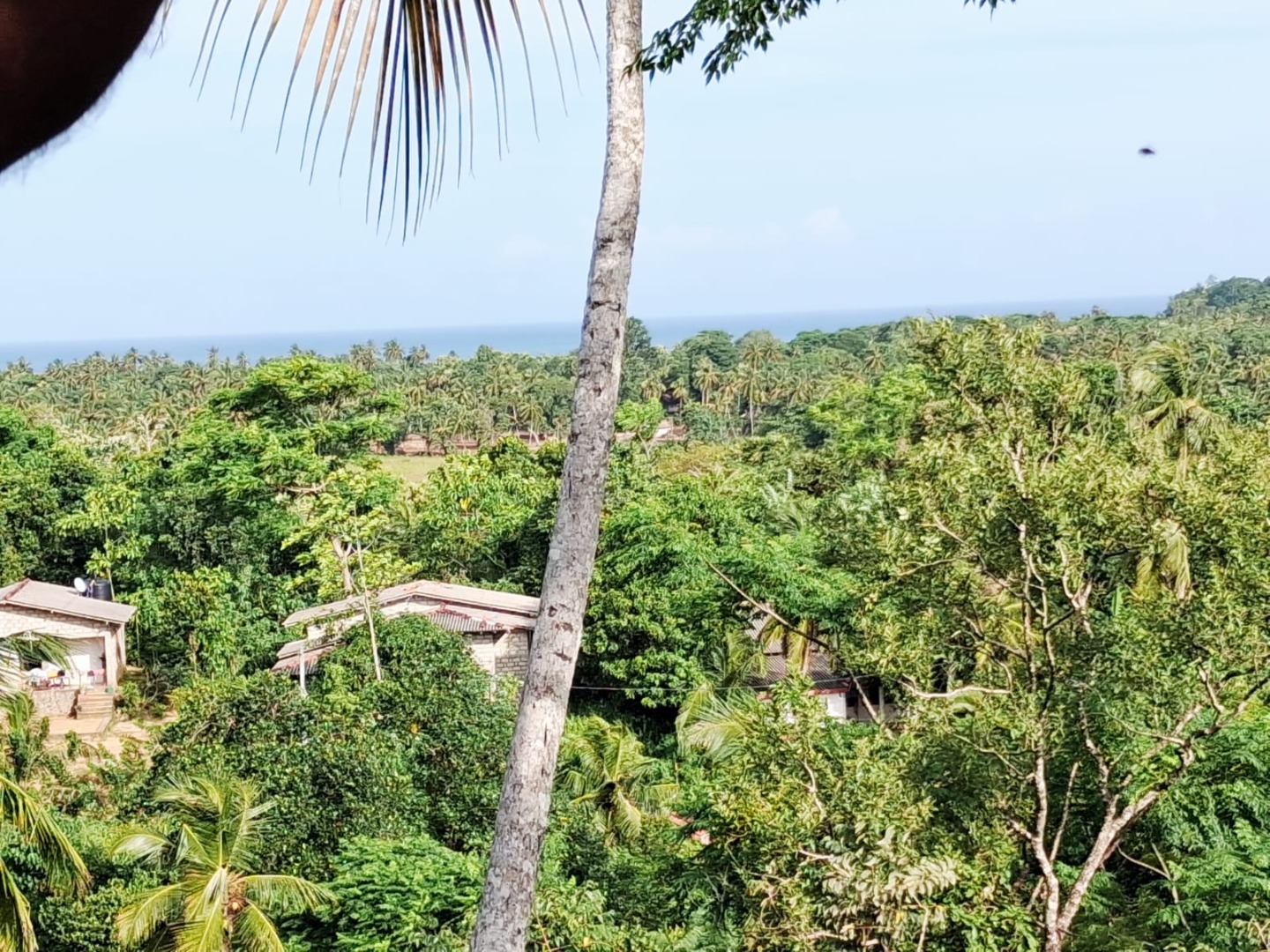 400 Perch Sea View Land For Sale In Talalla additional images