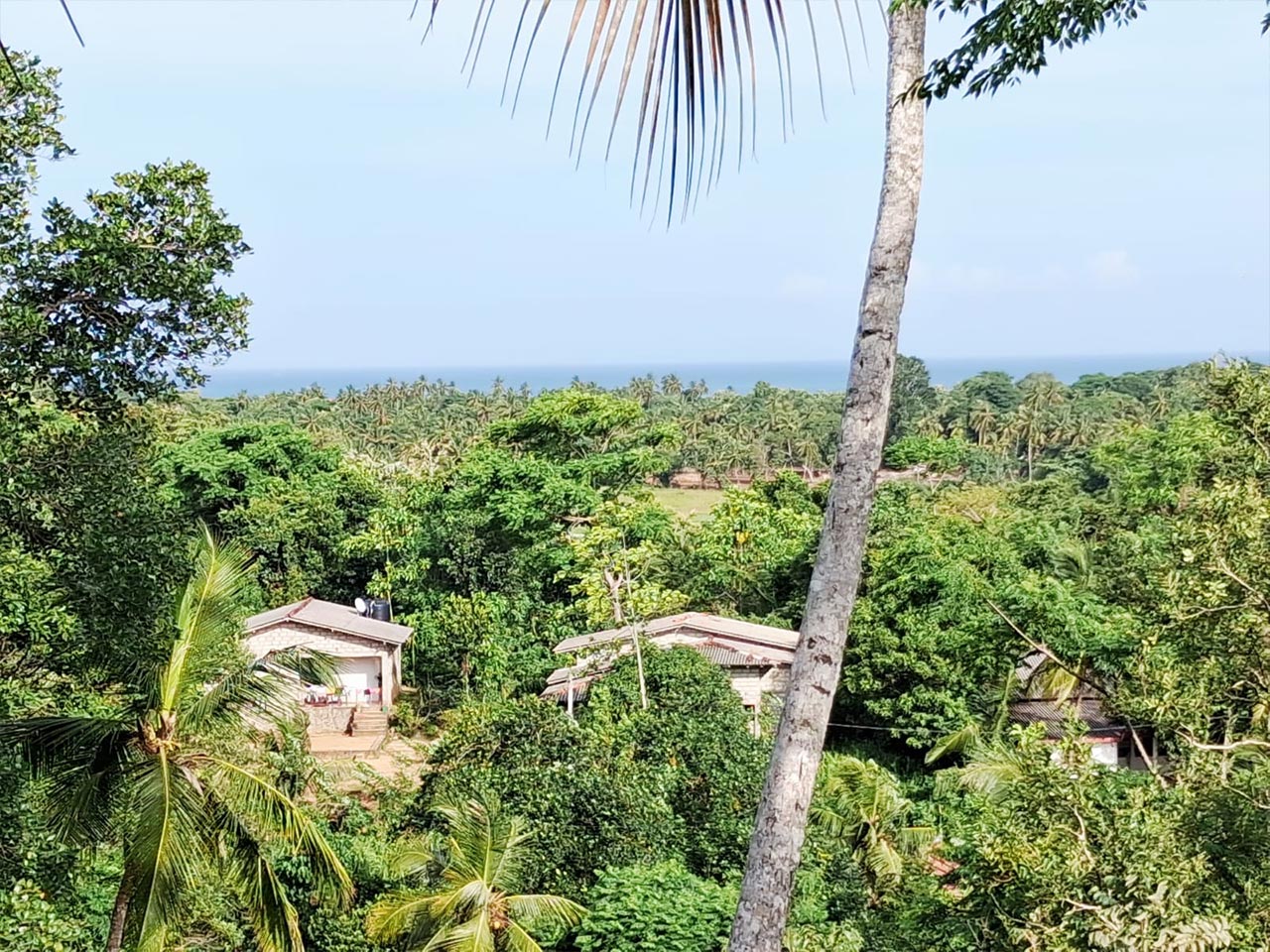 400 Perch Sea View Land For Sale In Talalla