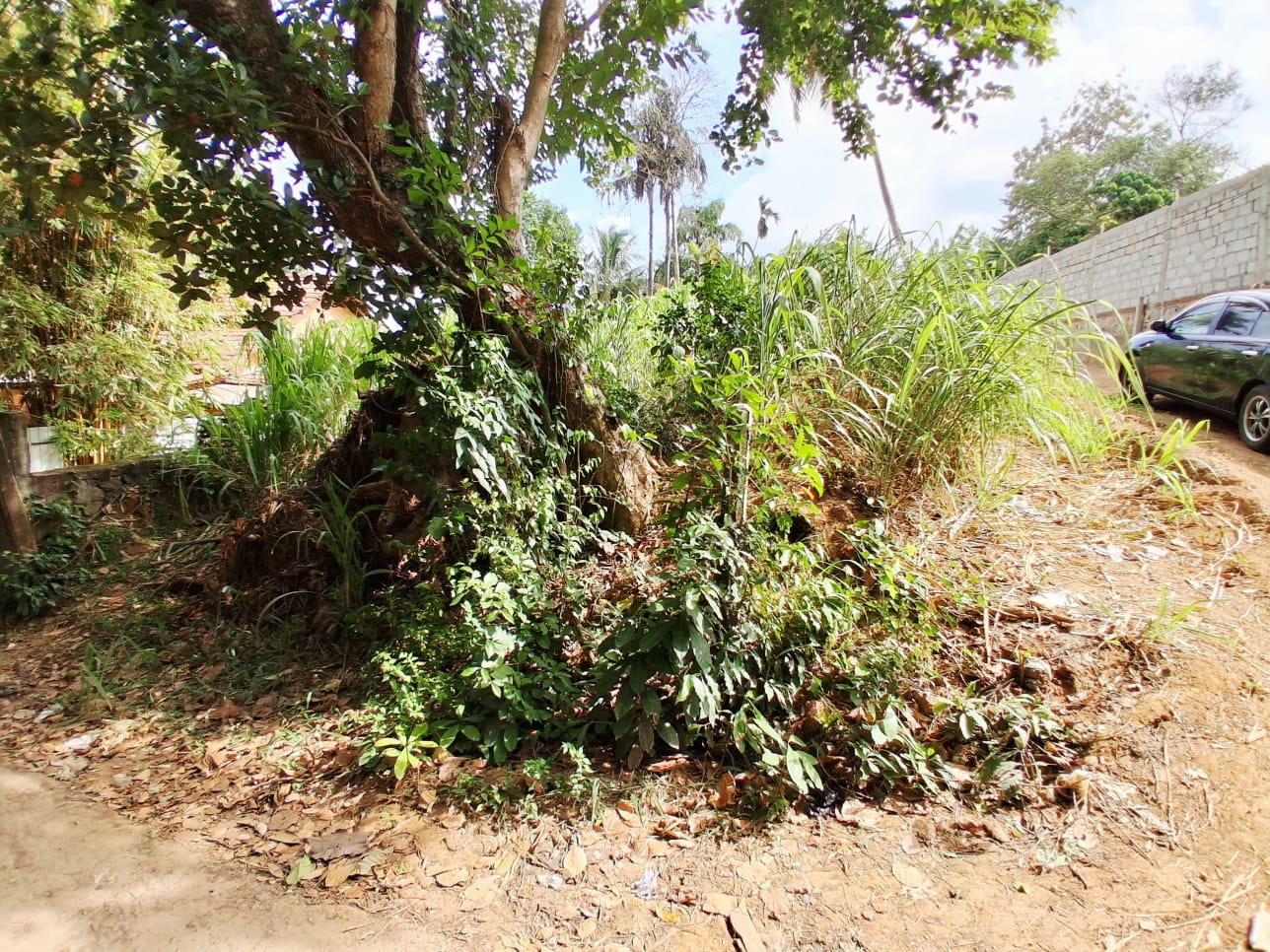 18 Perch Land Near Surf Point For Sale In Hiriketiya additional images