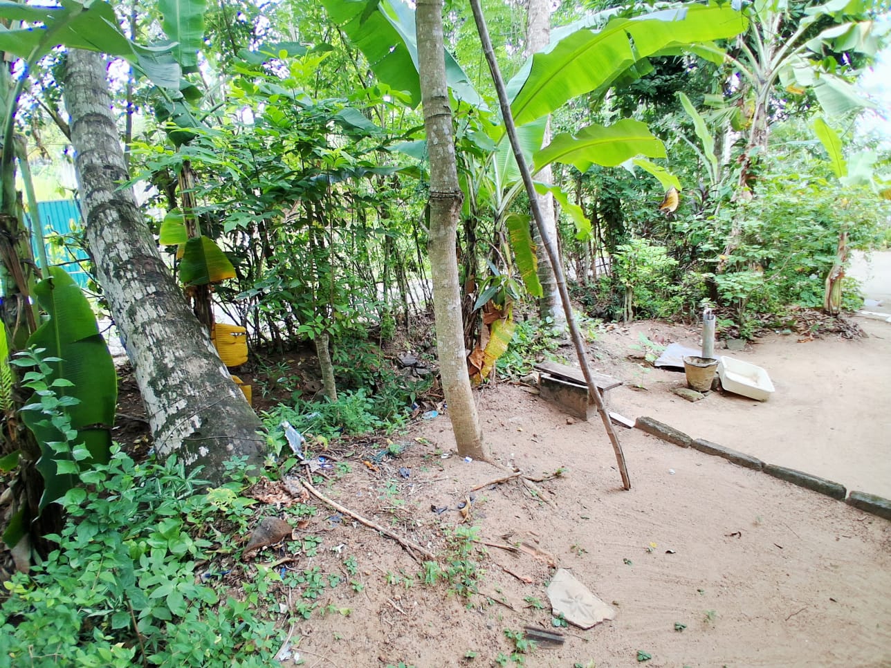 27.3 Perch Main Road Land For Sale In Hiriketiya additional images