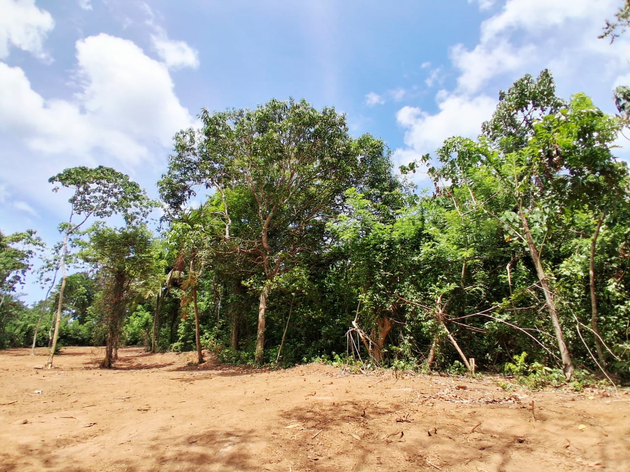 160 Perch Jungle-Style Villa Land For Sale In Dickwella additional images