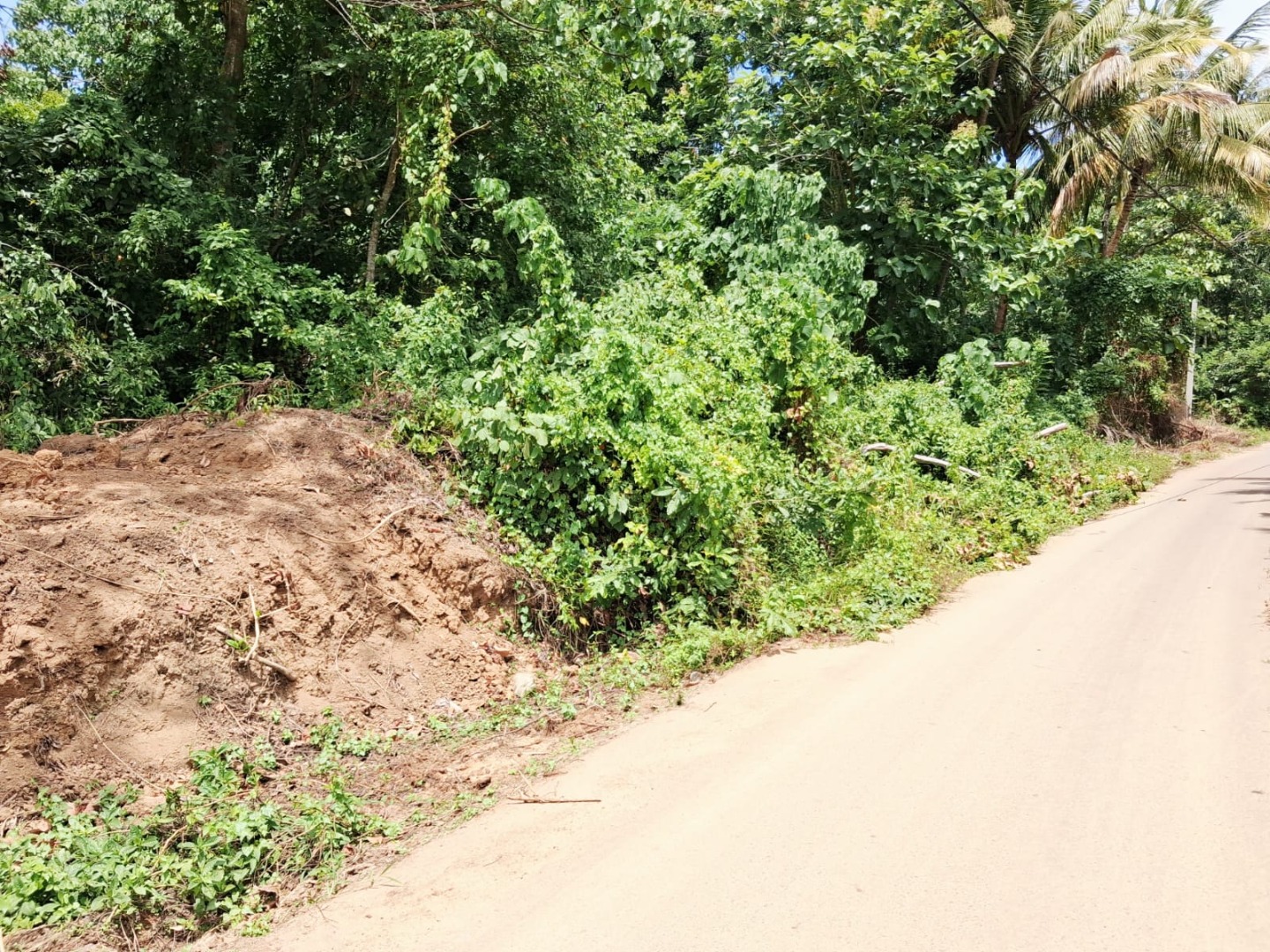 160 Perch Jungle-Style Villa Land For Sale In Dickwella additional images