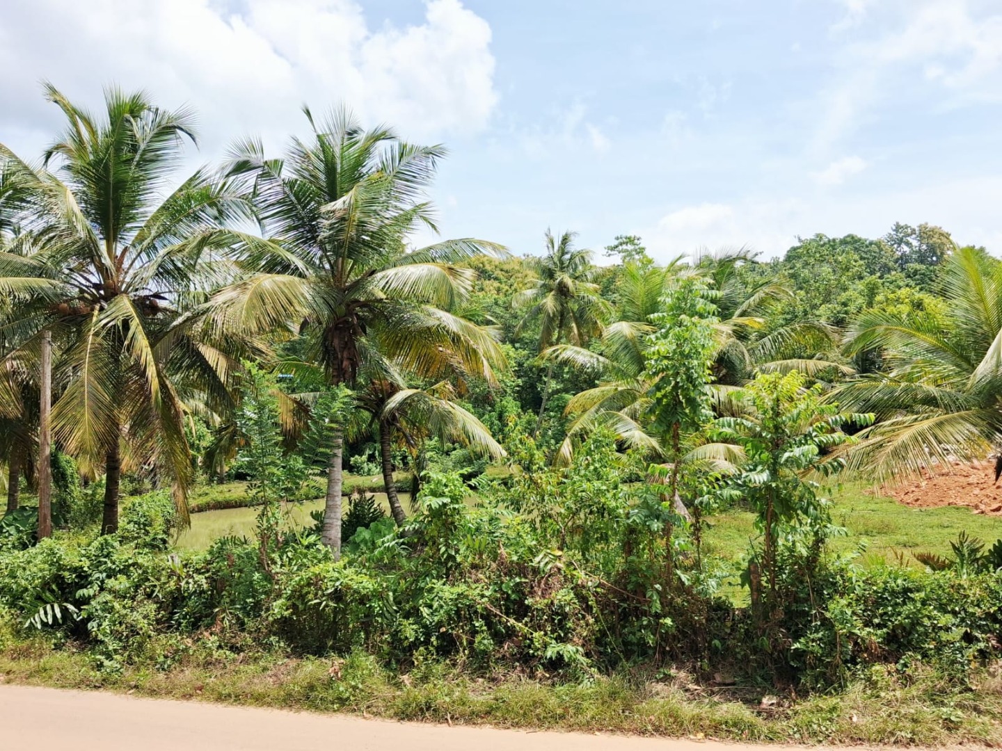 160 Perch Jungle-Style Villa Land For Sale In Dickwella additional images