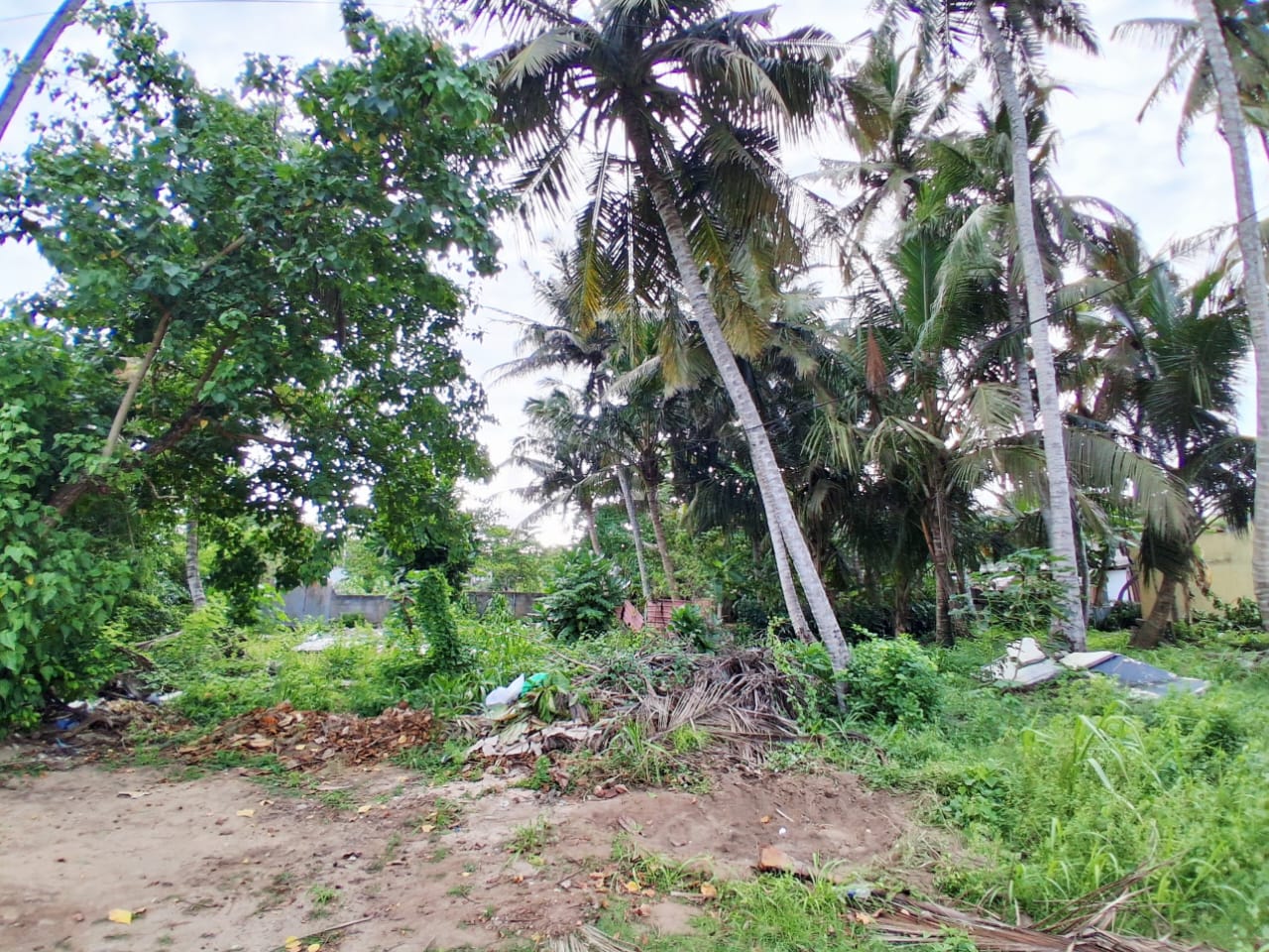24 Perch Land Near Beach Feel For Sale In Batheegama, Dickwella additional images