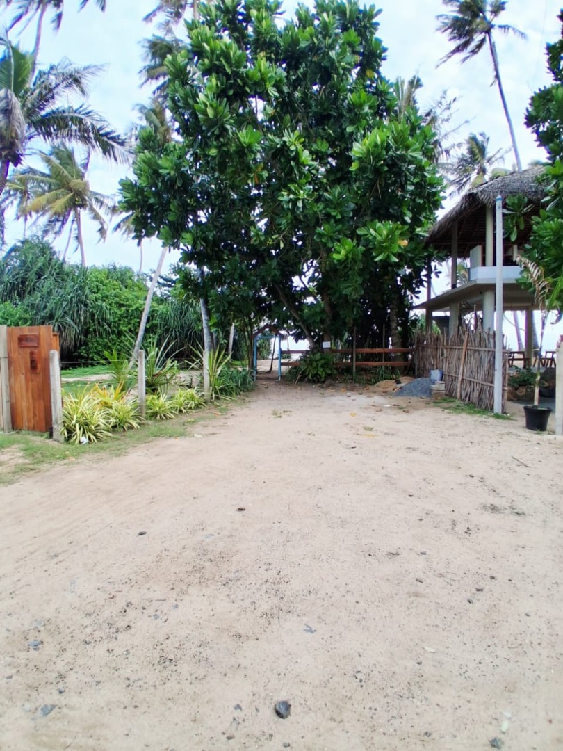 24 Perch Land Near Beach Feel For Sale In Batheegama, Dickwella additional images
