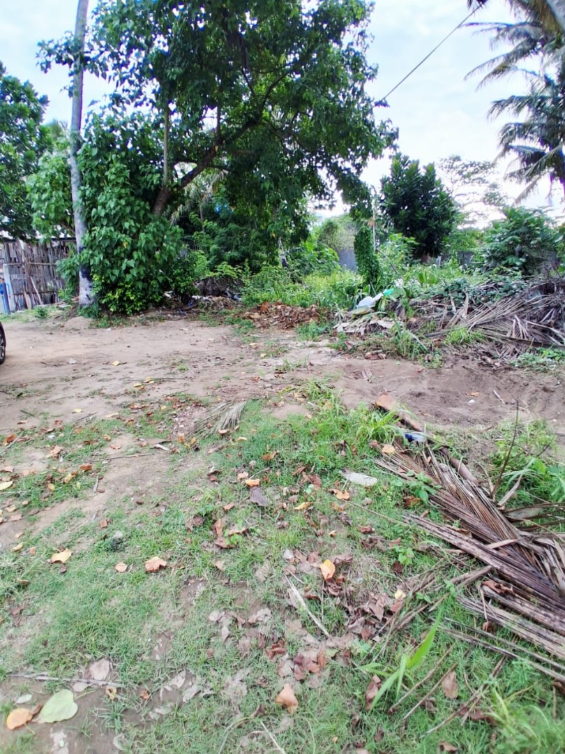 24 Perch Land Near Beach Feel For Sale In Batheegama, Dickwella additional images